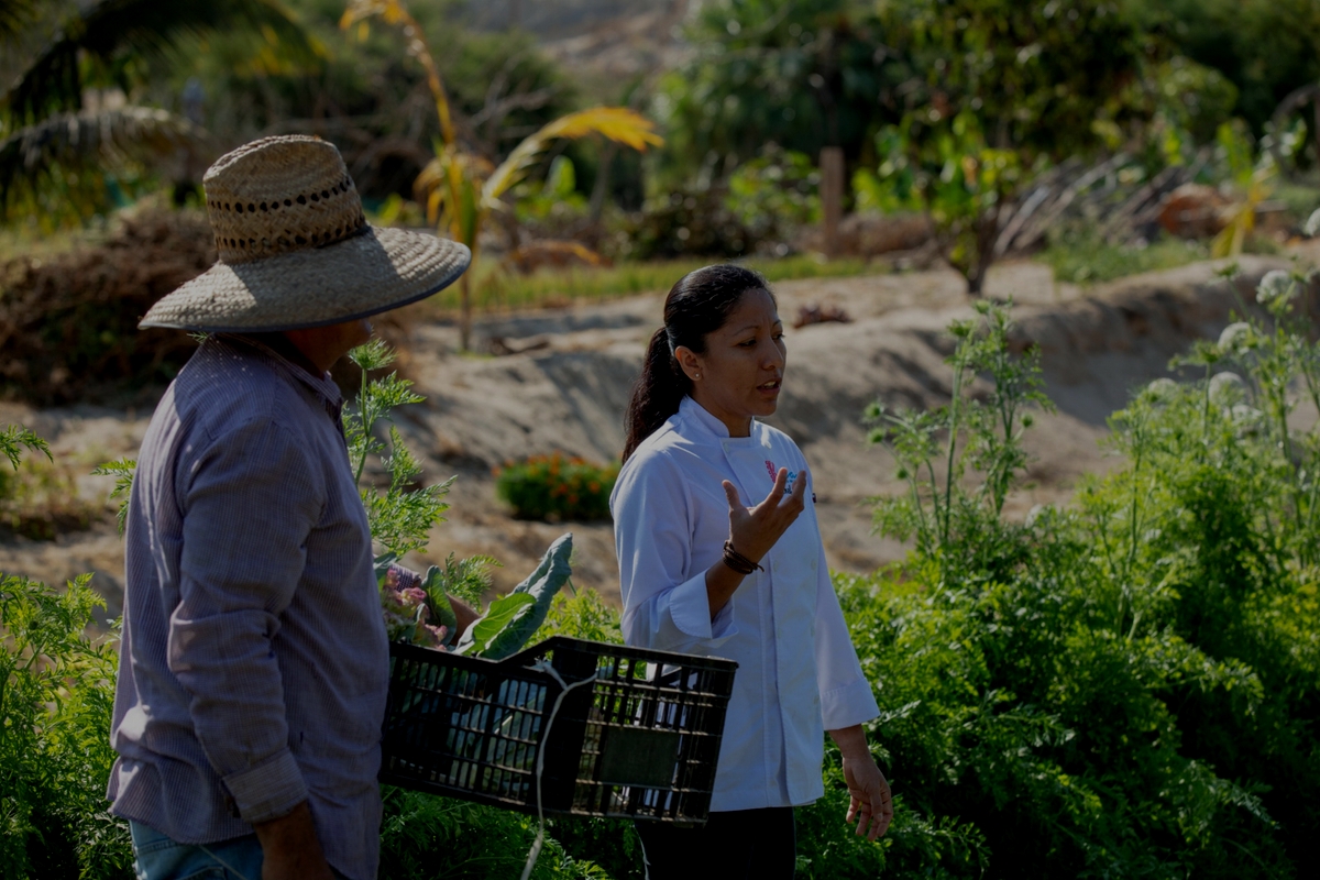 Chef are speaking with her farmer while exploring organic produce